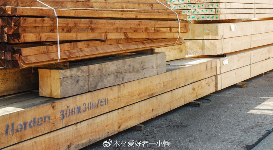 全球木材行业遭受运输冲击，中国木材市场压力与潜力并存