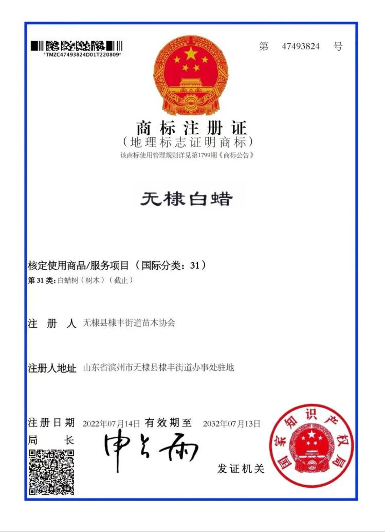 无棣三宝 地理标志商标赋能乡村振兴新篇章